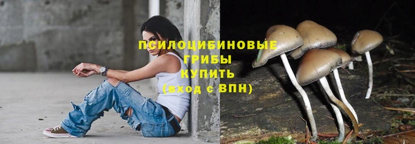 гидропоника Алексеевка