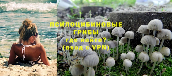 гидропоника Алексеевка